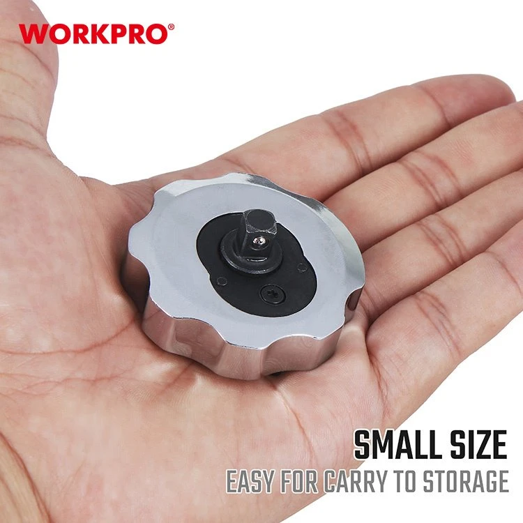 WP275031 (4)