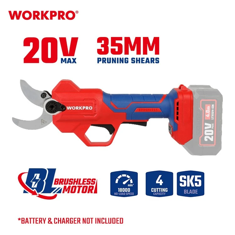 WP391603-1